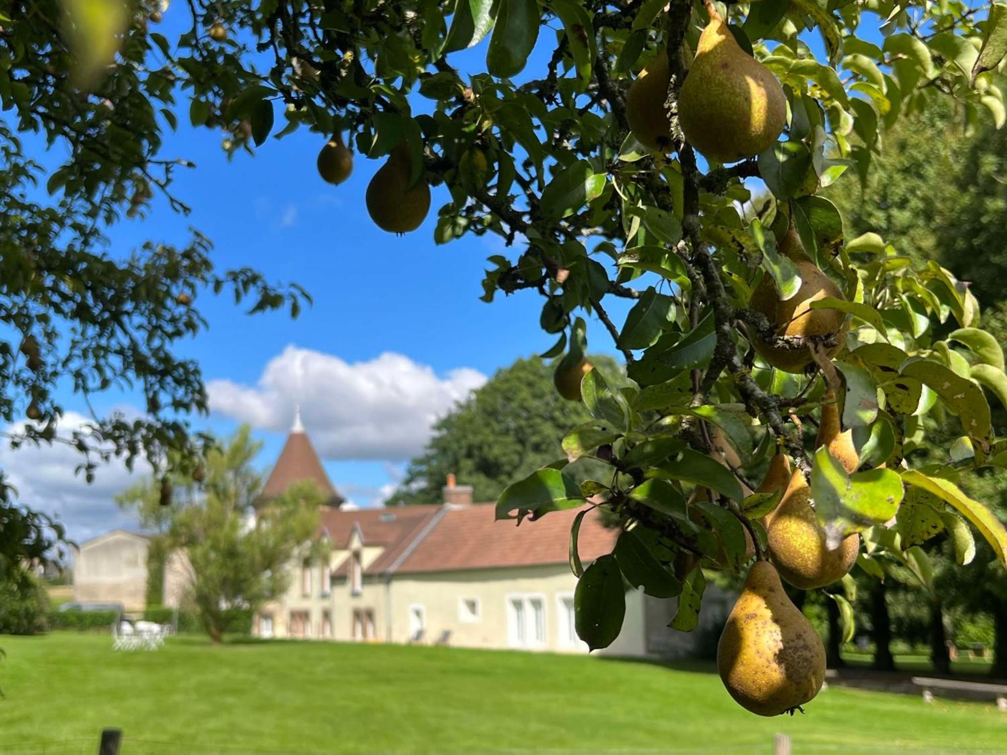 Le Petit Chateau Baye  Екстер'єр фото